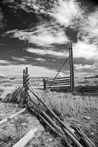 Fence by Brenda Yamen